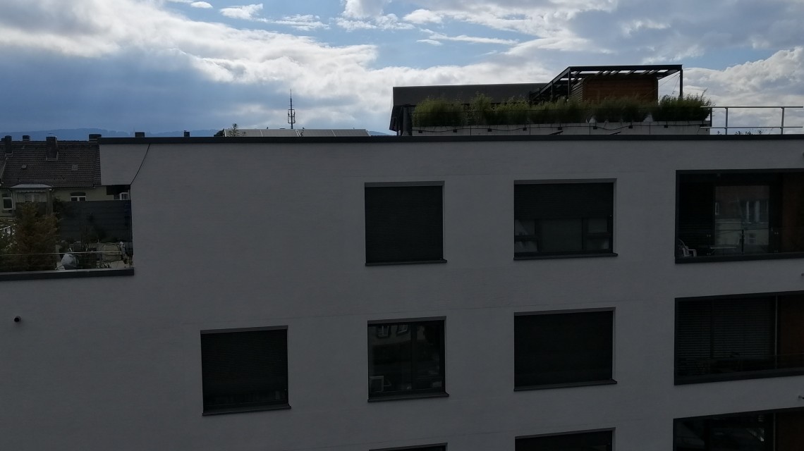 rückblick-martini3.jpg
