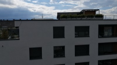 rückblick-martini3.jpg Lebendiges Quartier auf dem alten Matini-Brauereigelände